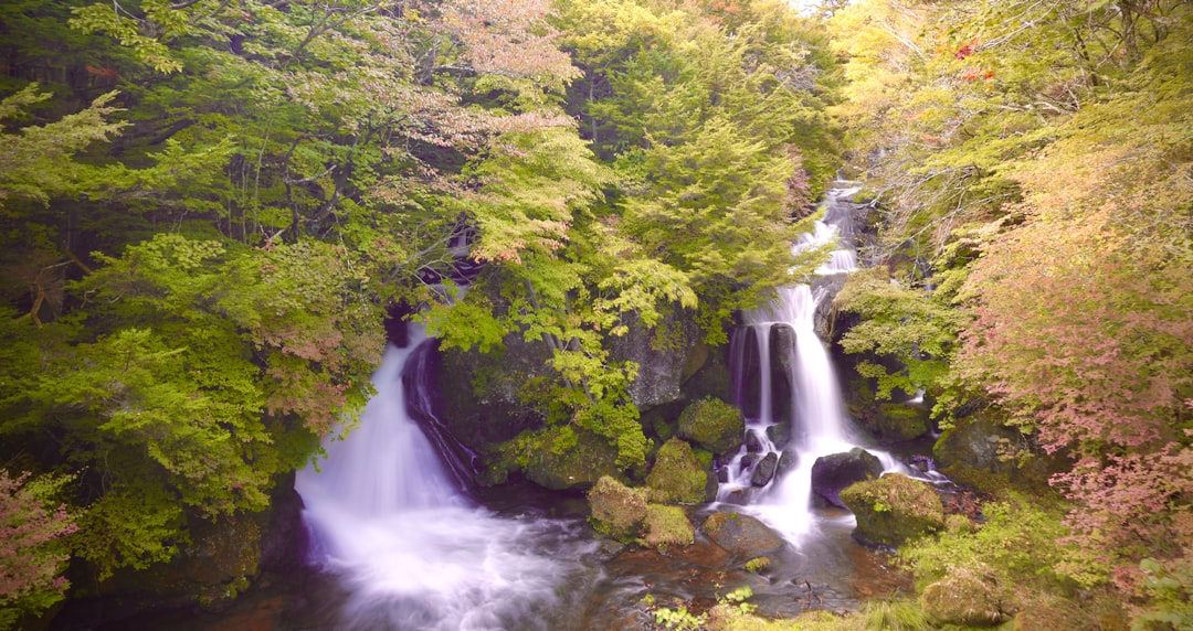 赤目四十八滝の風景