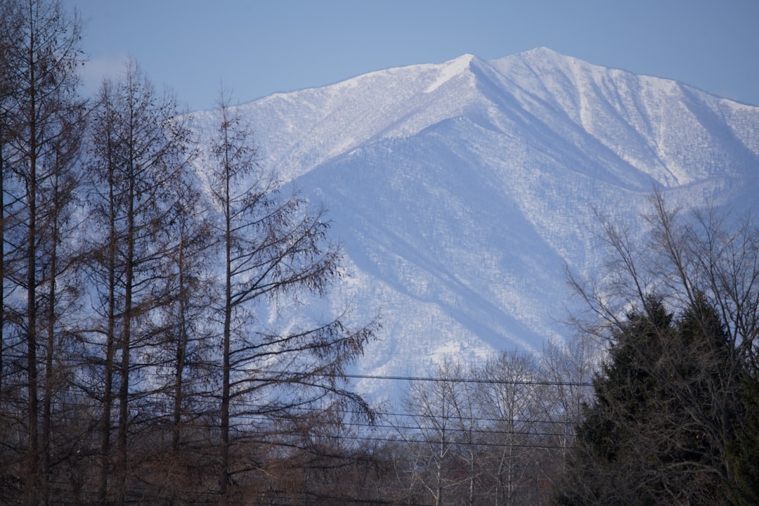阿寒湖の風景