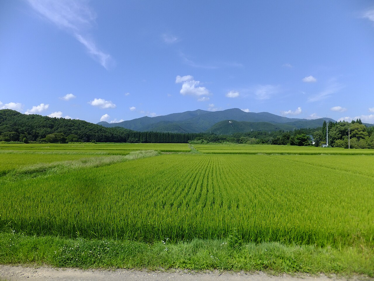 仙北
