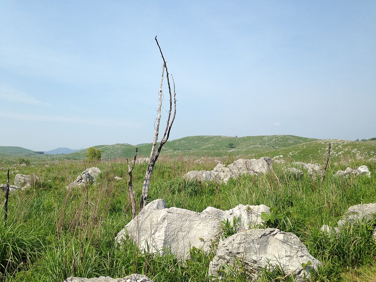 秋吉台