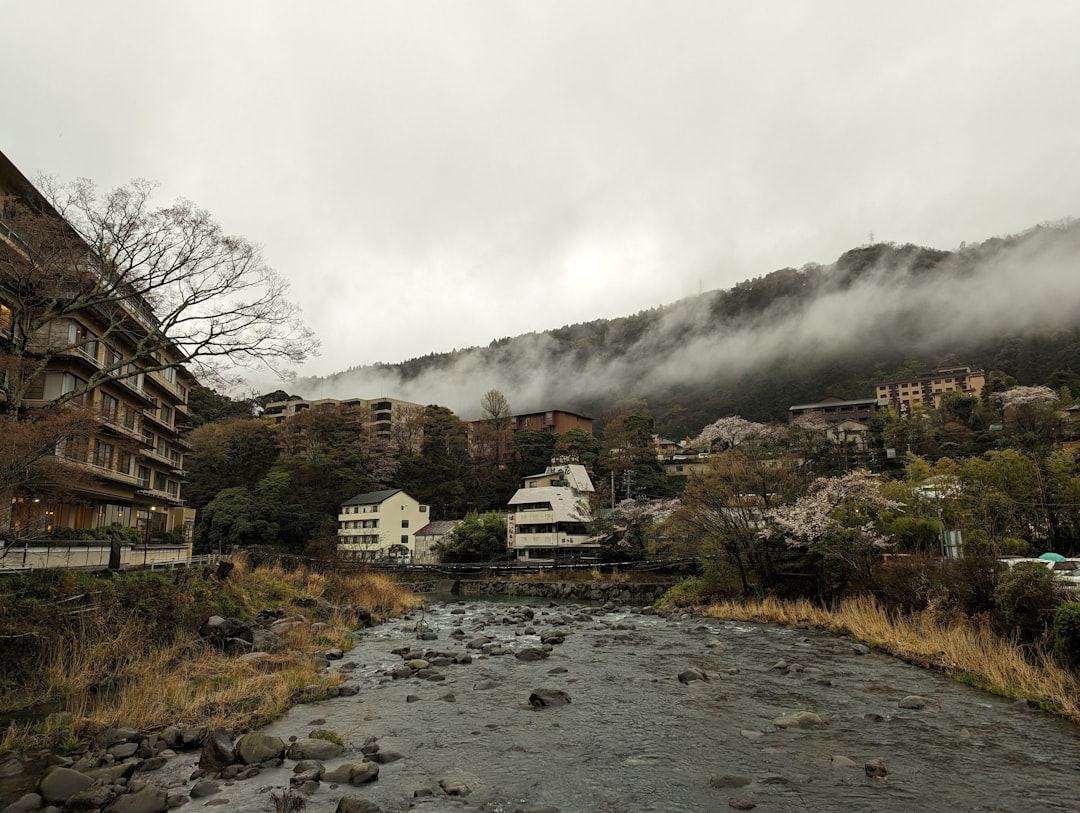 足摺岬