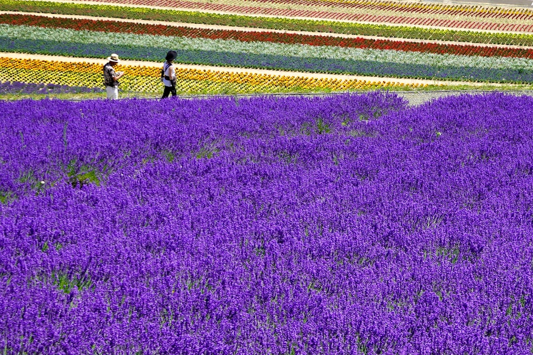 オプタテシケヌプリの風景