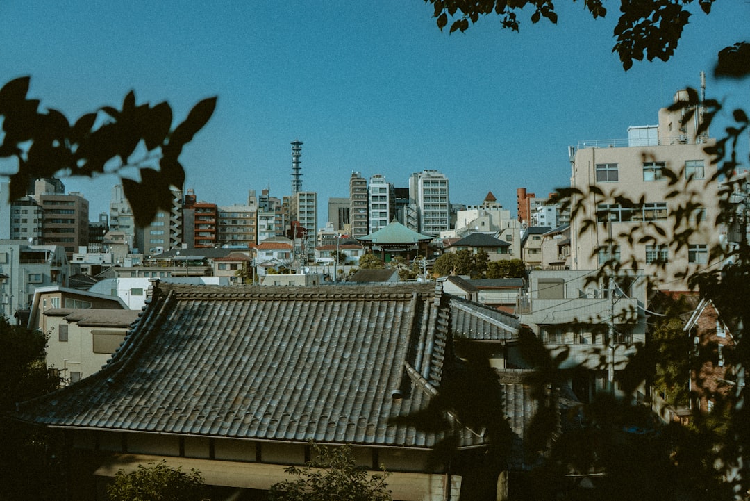 オムシャヌプリの風景