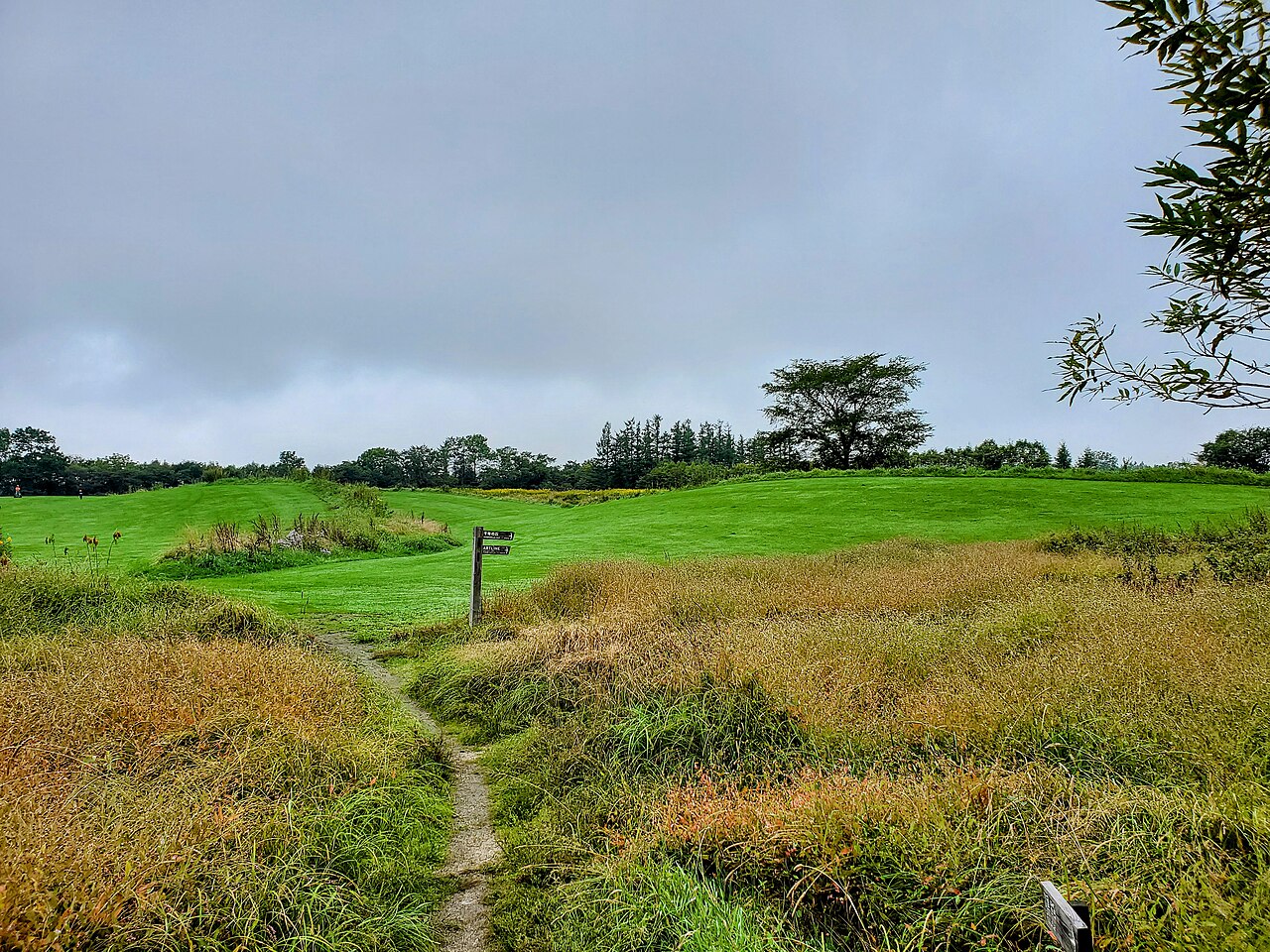 十勝千年の森の風景