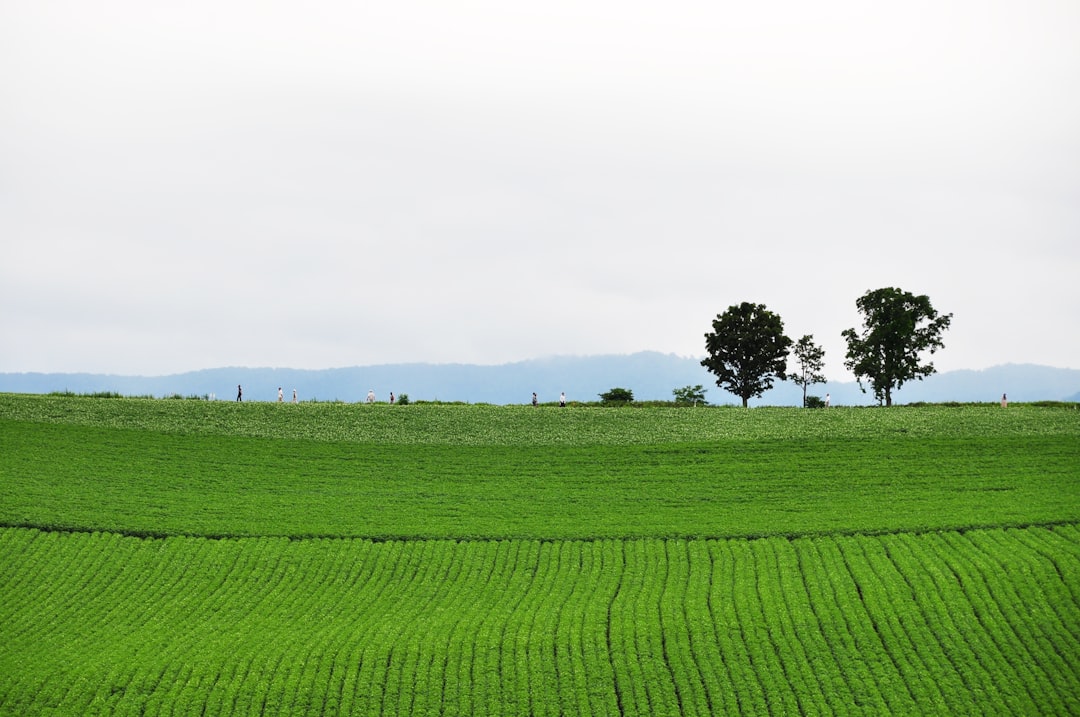 察来山の風景