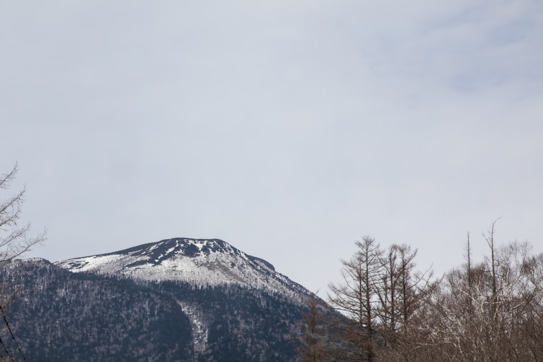 戸蔦別岳の風景