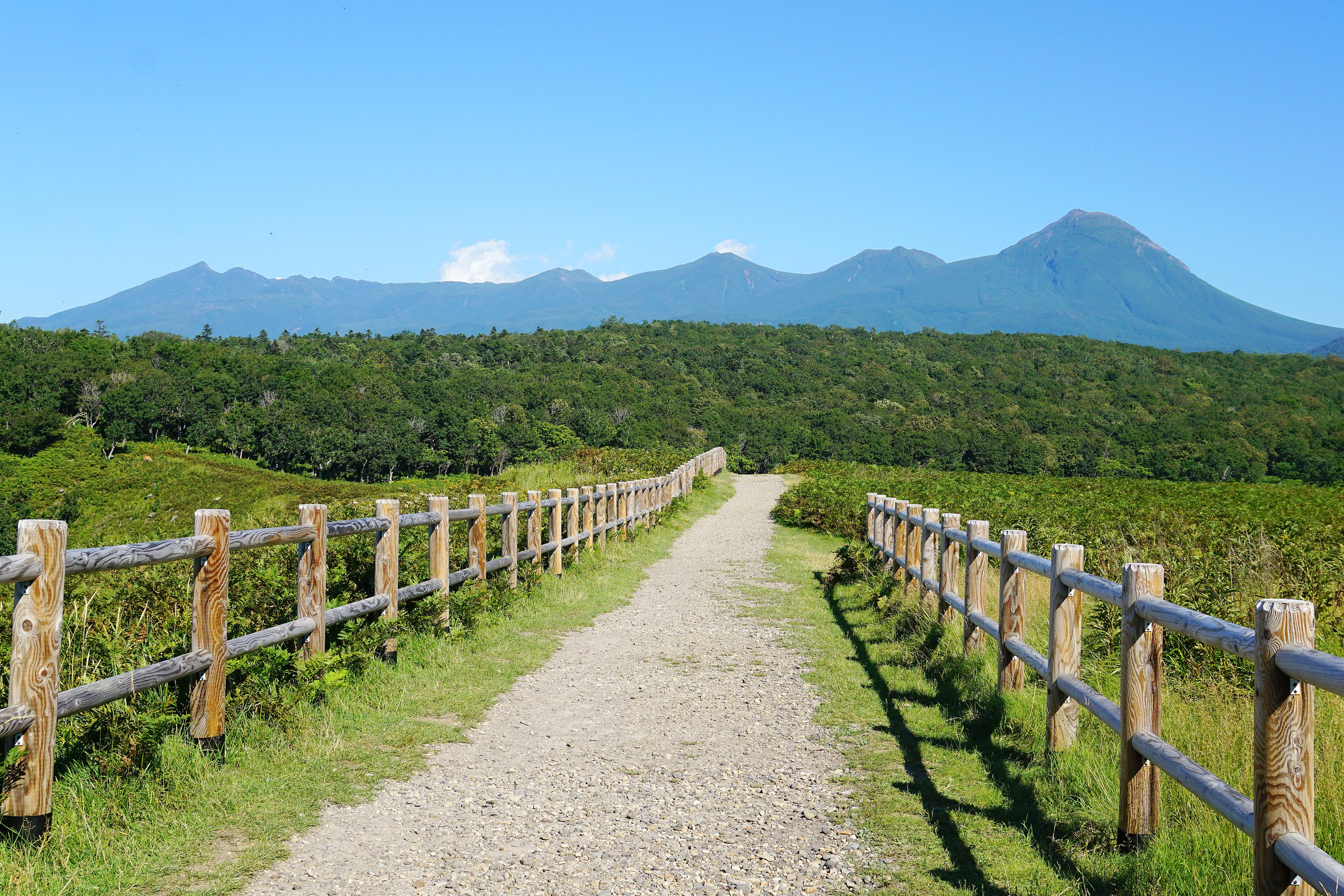 知床国立公園の風景