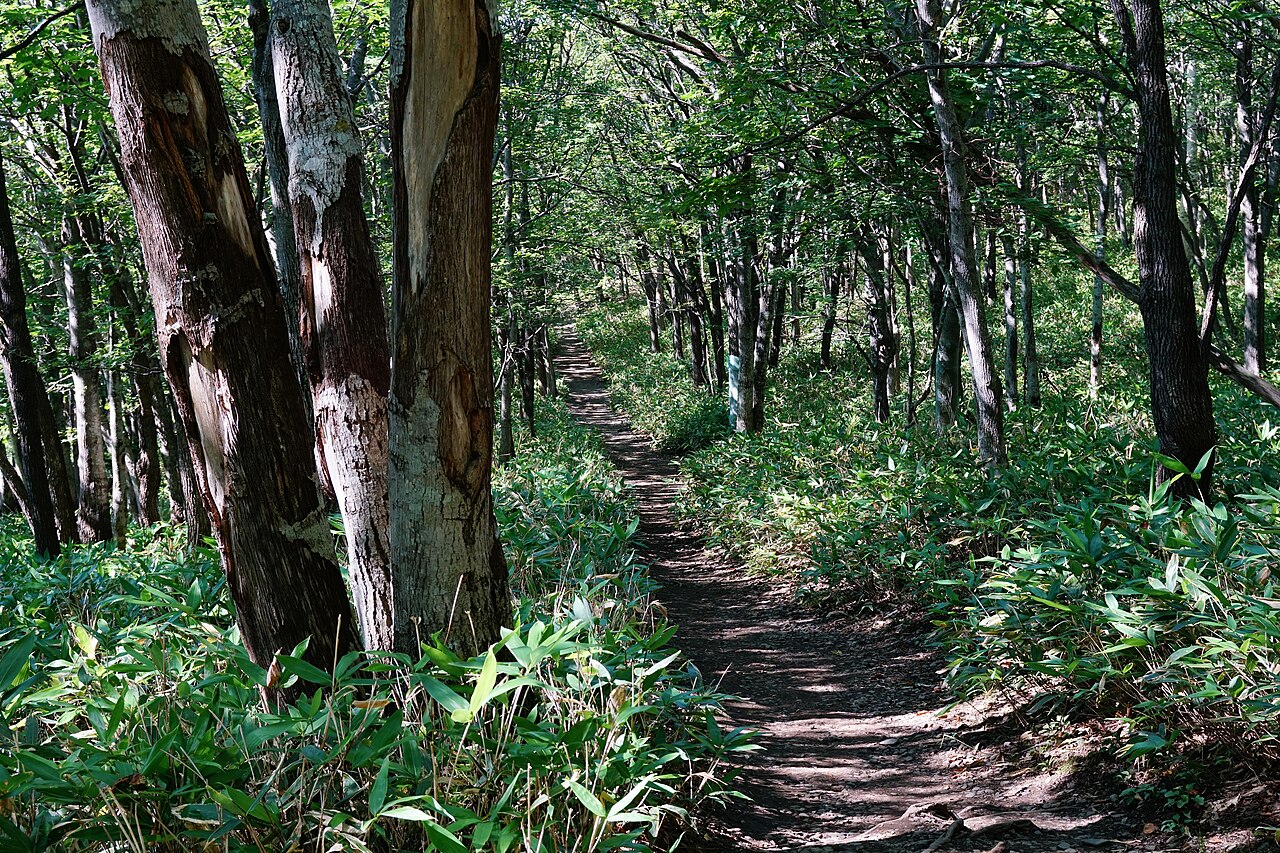 知床国立公園の風景