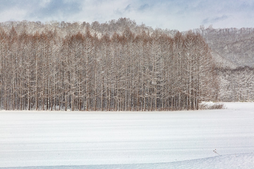 鹿の湯の風景