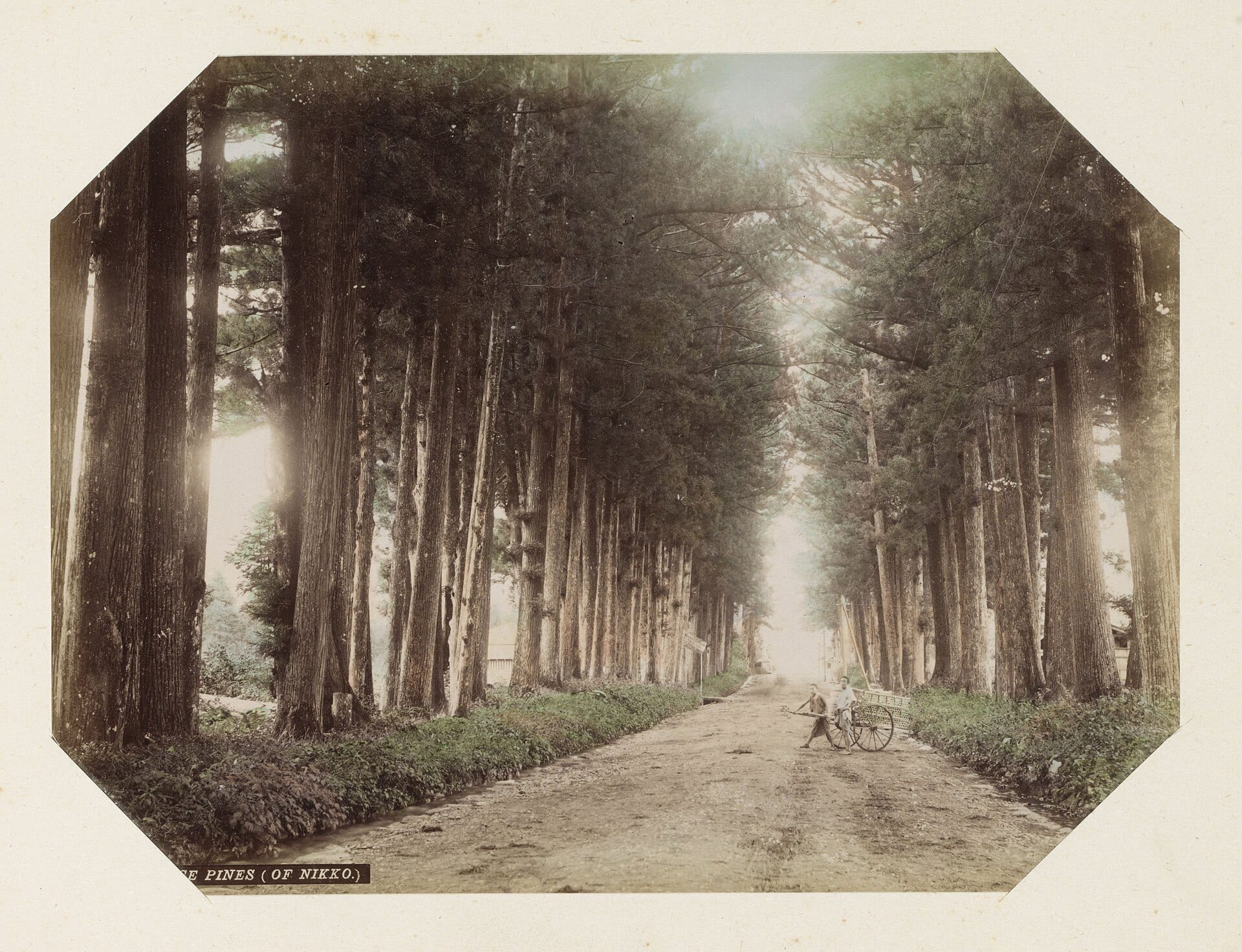日光杉並木の風景