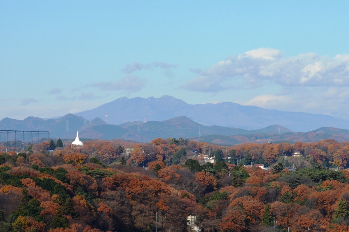 高原山