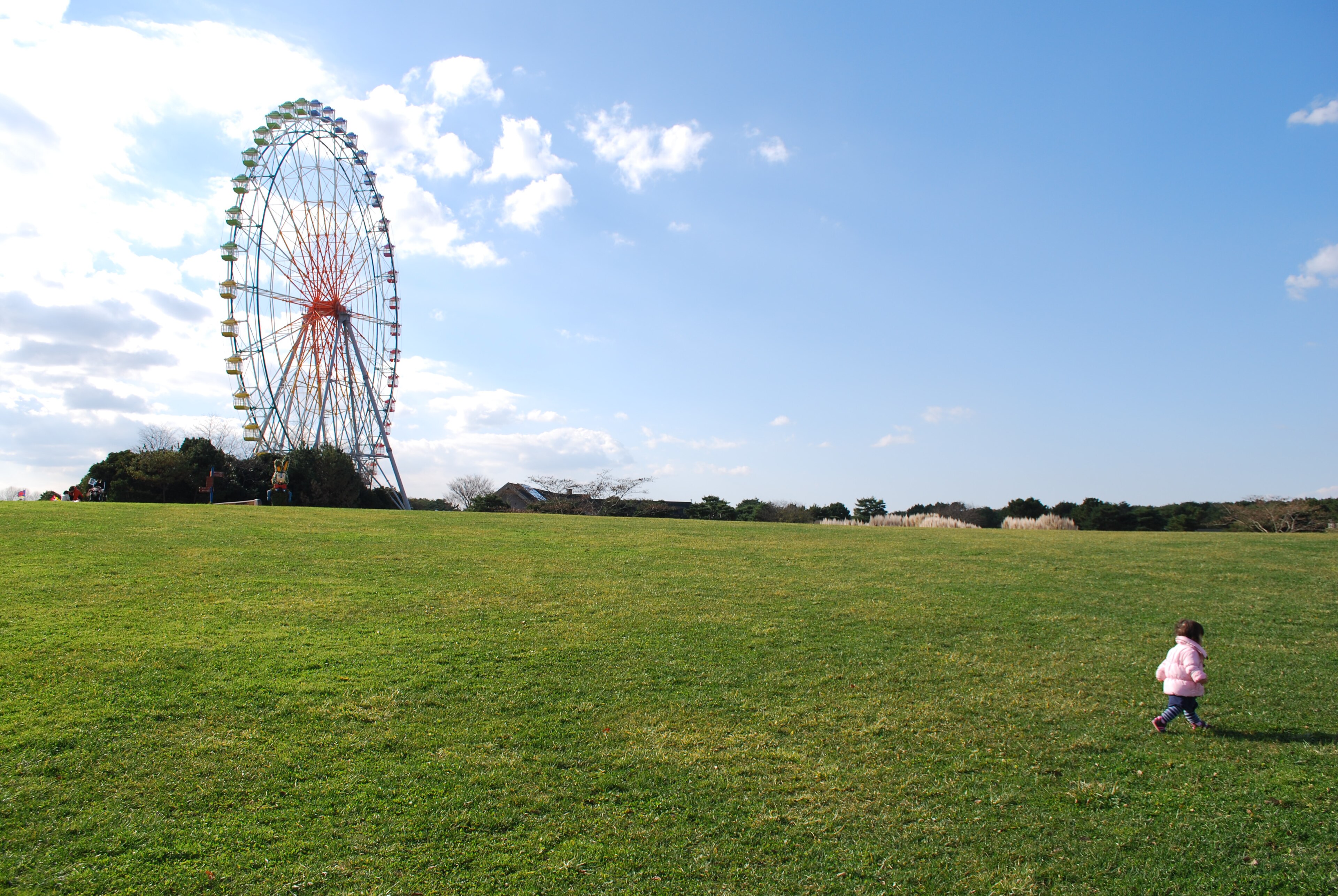 国営ひたち海浜公園の風景