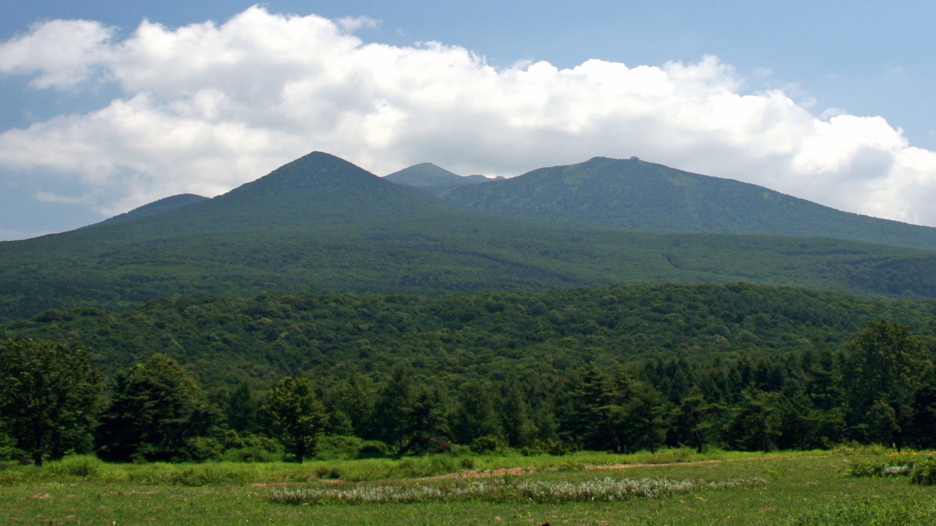 八甲田山の風景