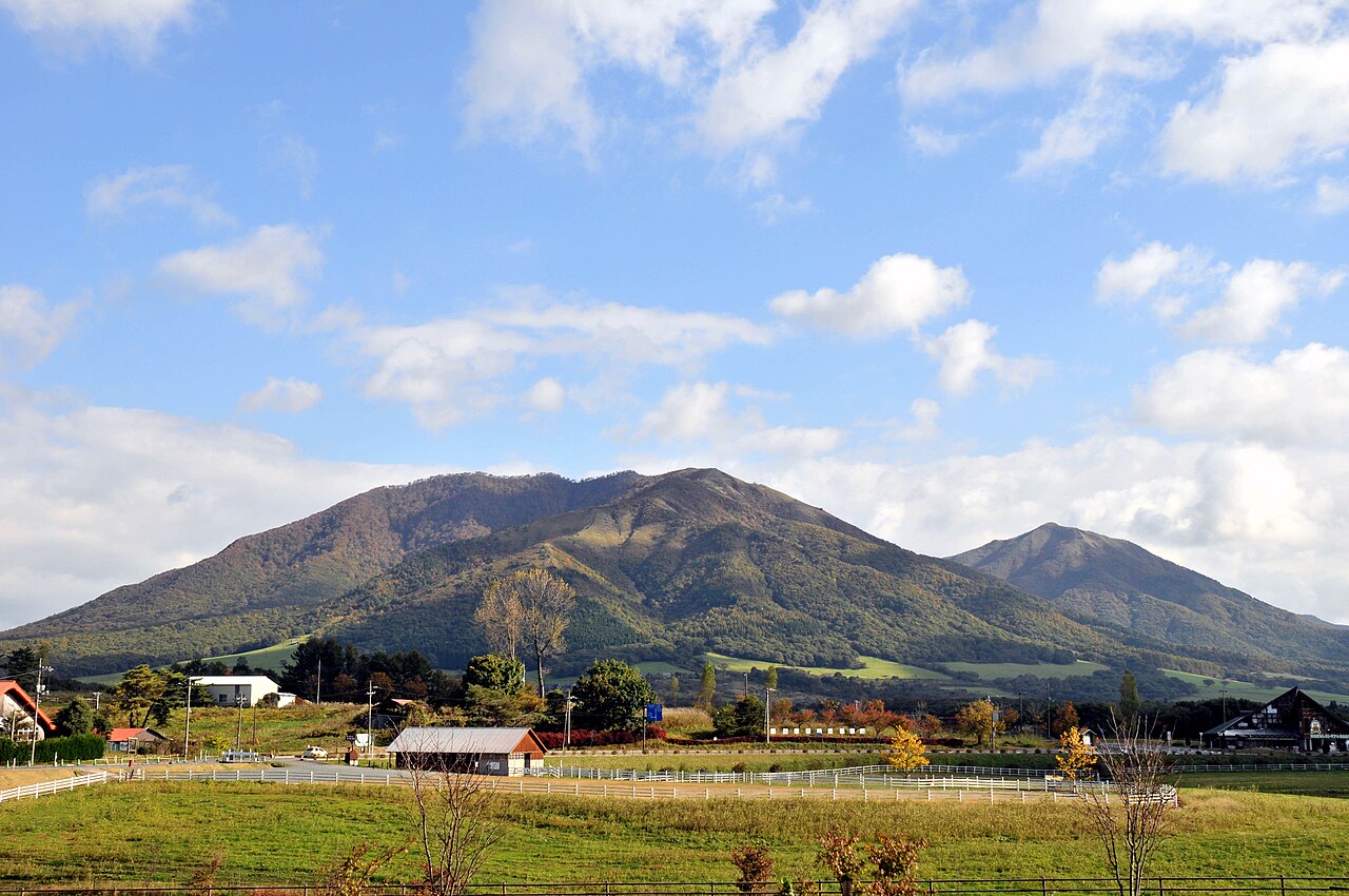蒜山高原の風景