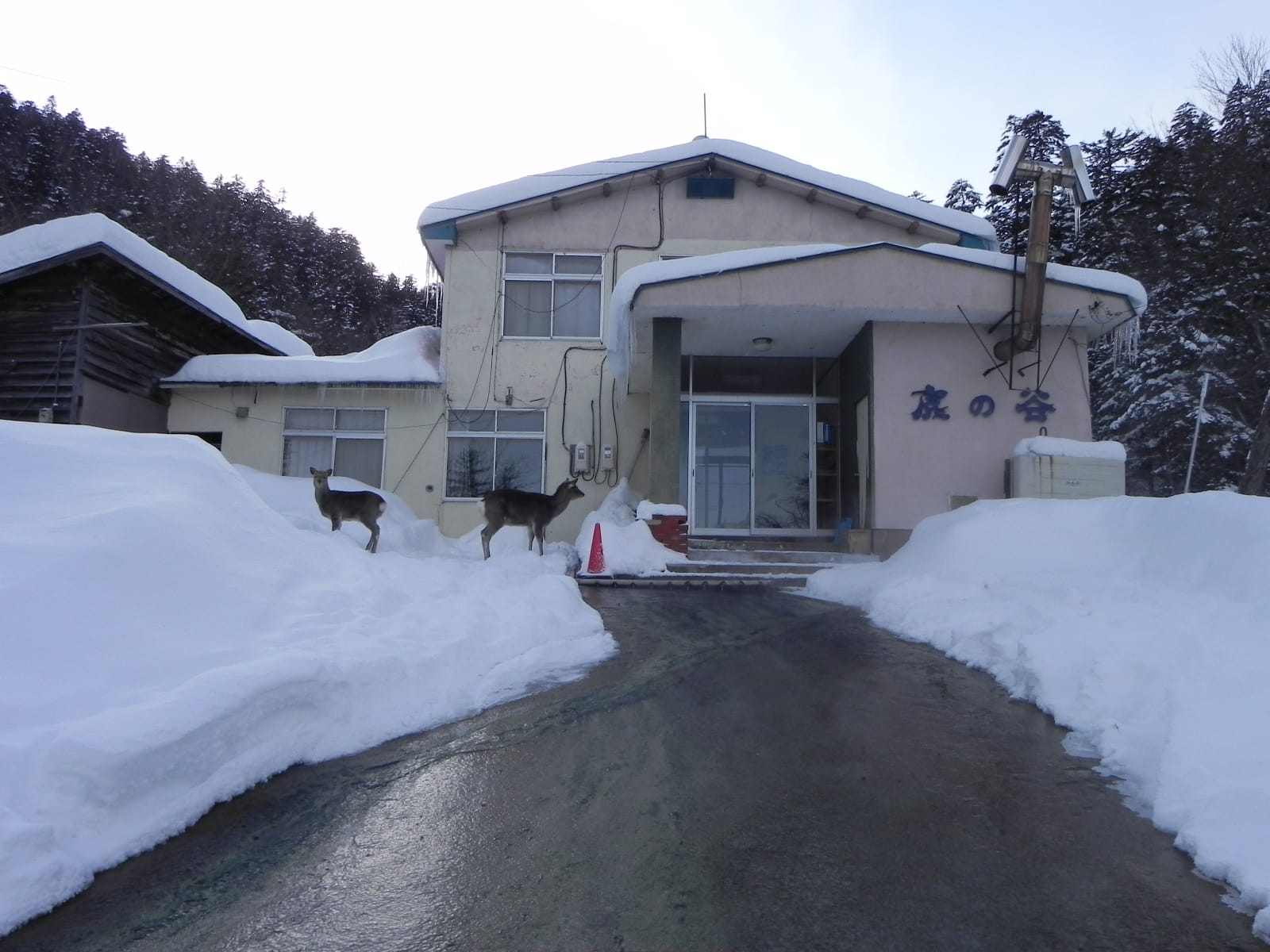 幌加温泉の三つ並んだ内風呂