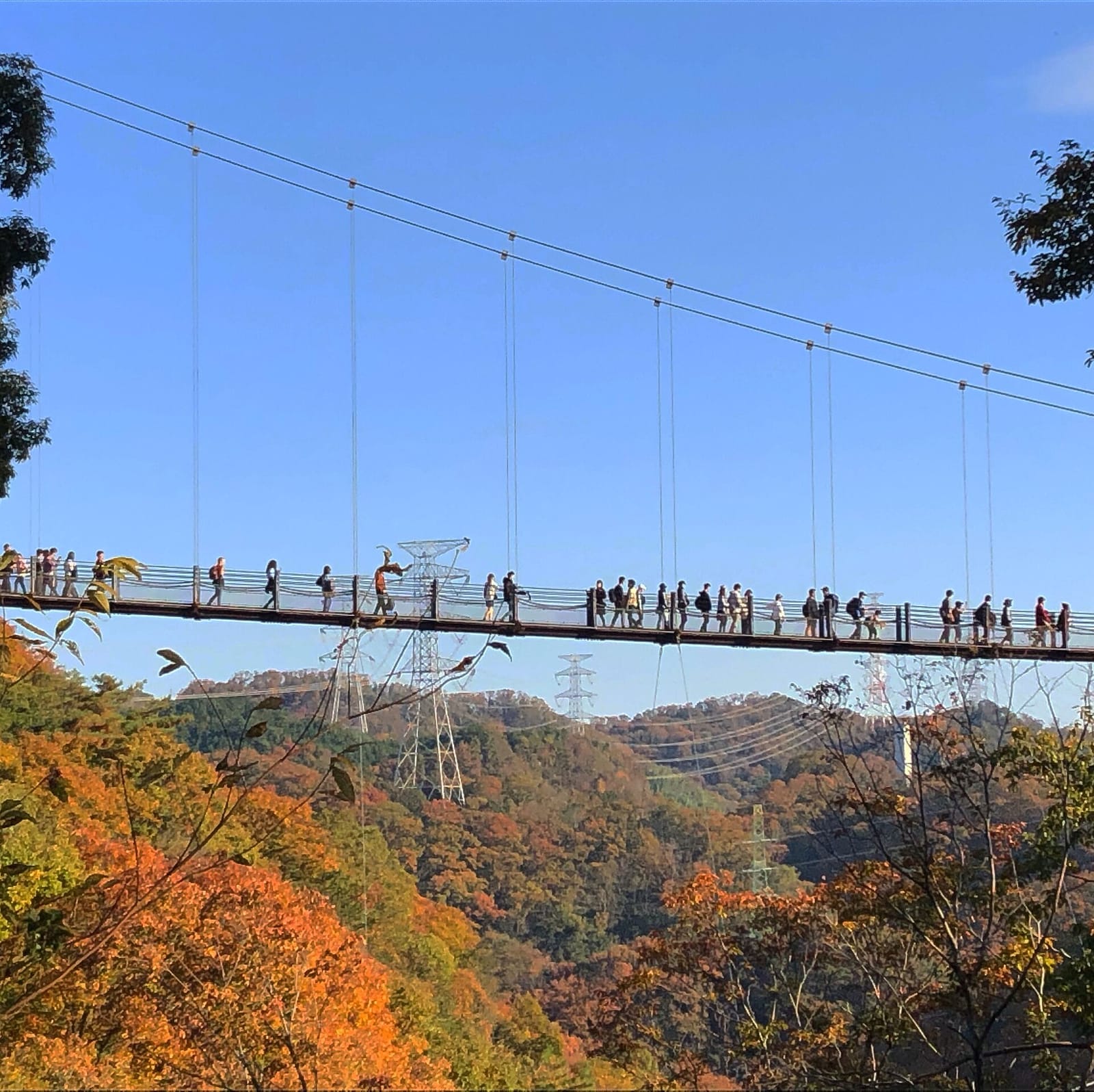ほしだ園地の星のブランコ