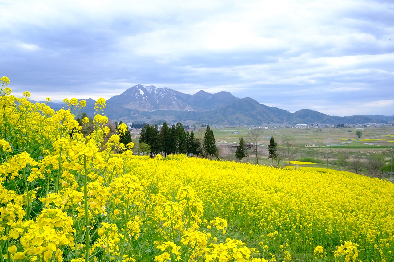 飯山の風景