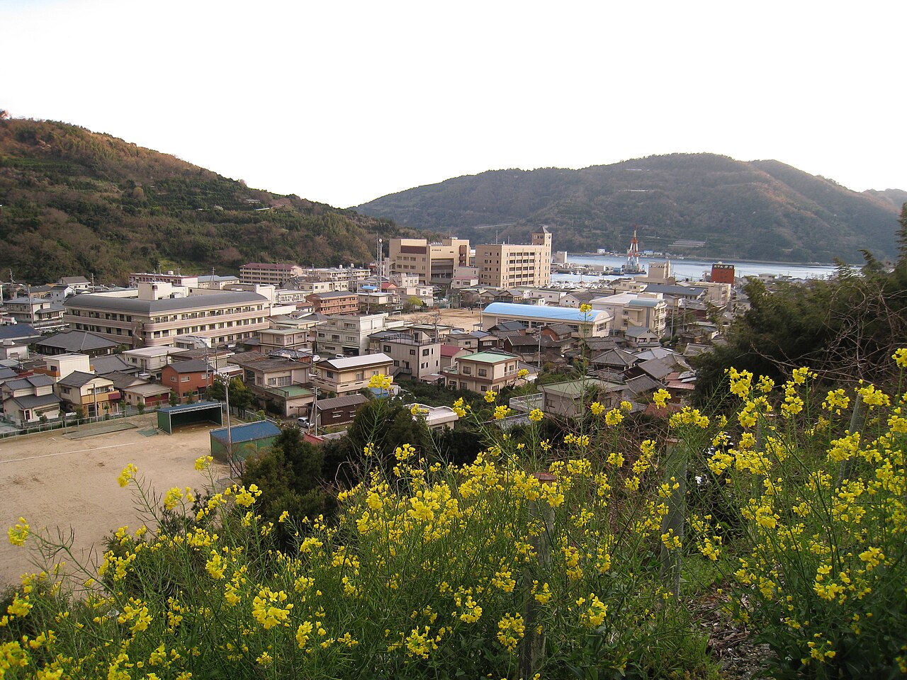 伊方