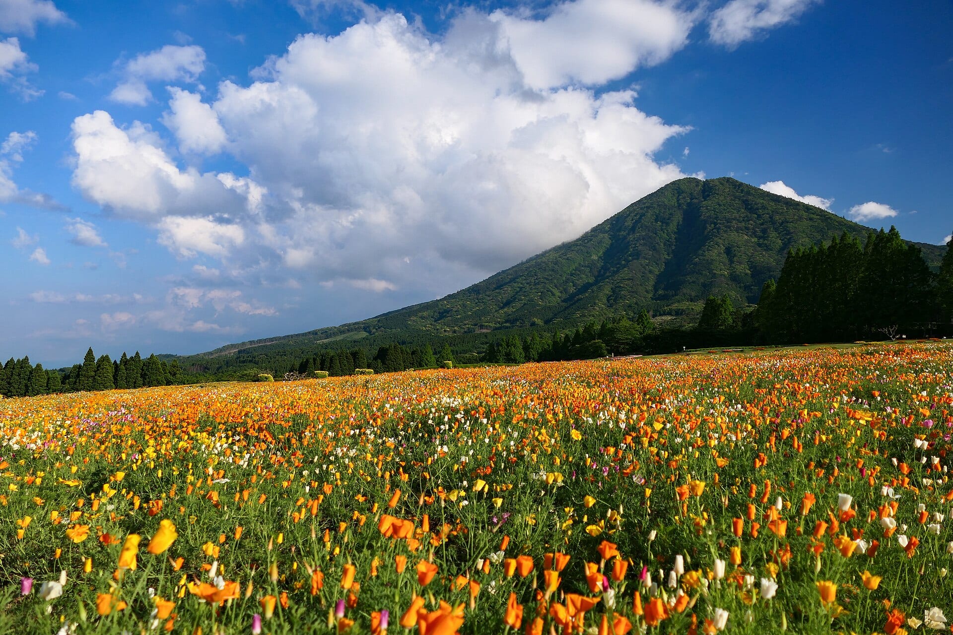 生駒高原