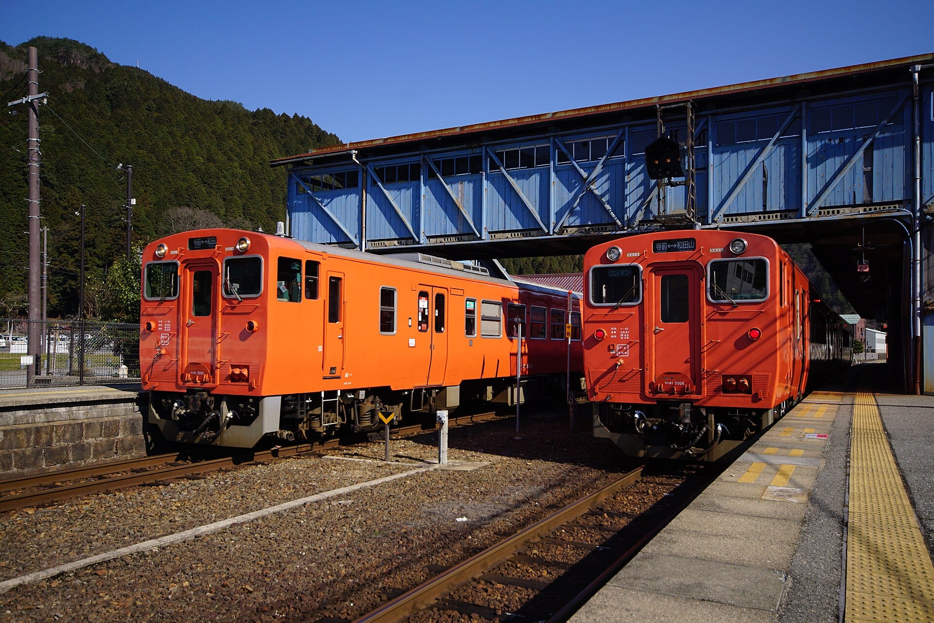 生野