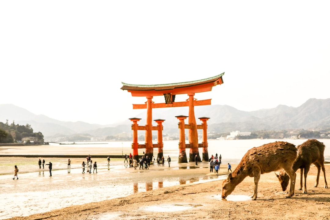 犬山の風景