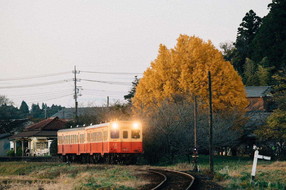 いすみ鉄道沿線