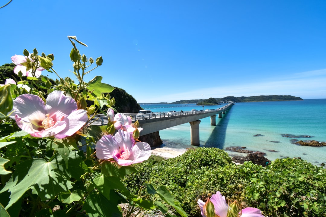 糸満の風景