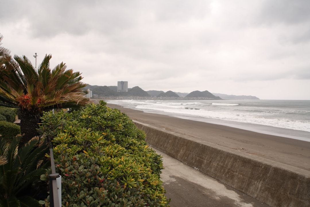 糸島の風景