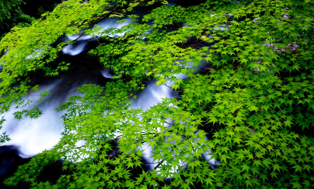 山代温泉の風景