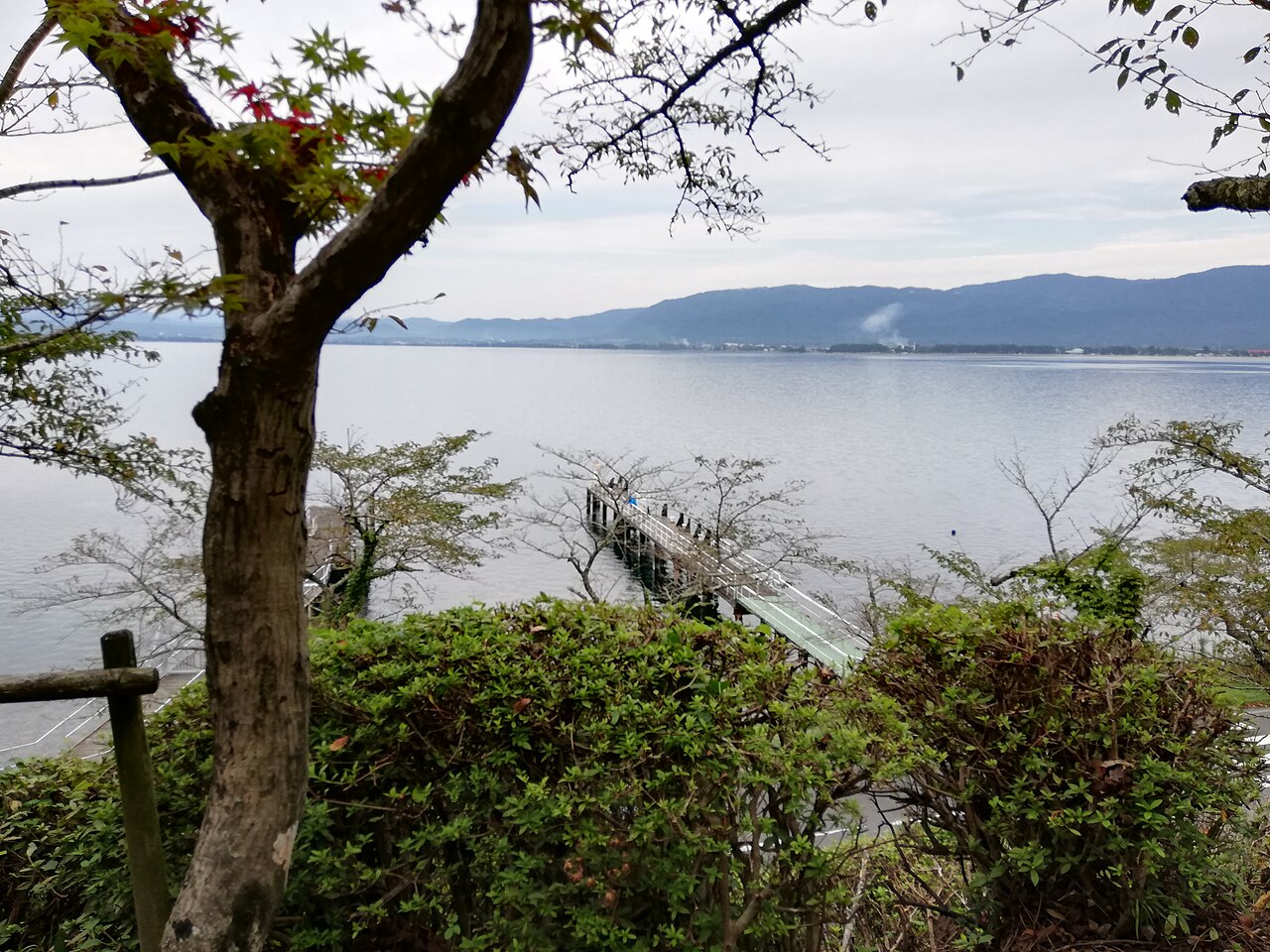 海津大崎