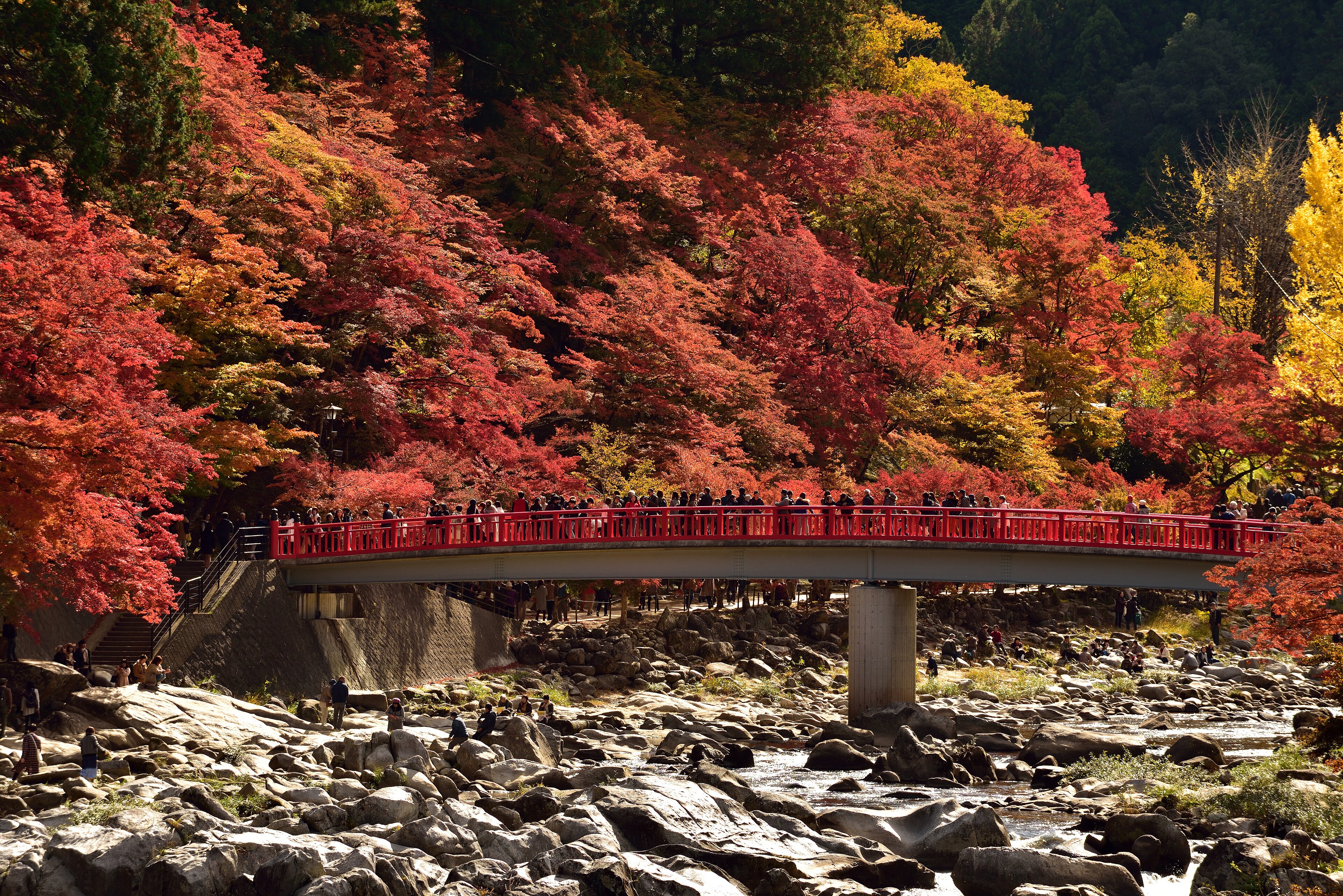香嵐渓の風景