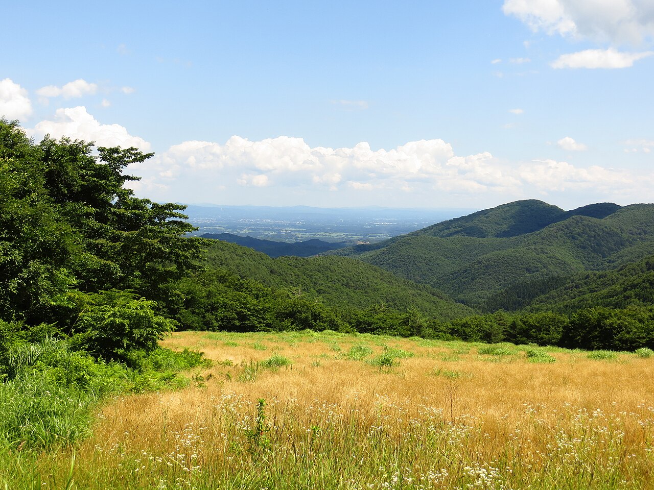 郡山