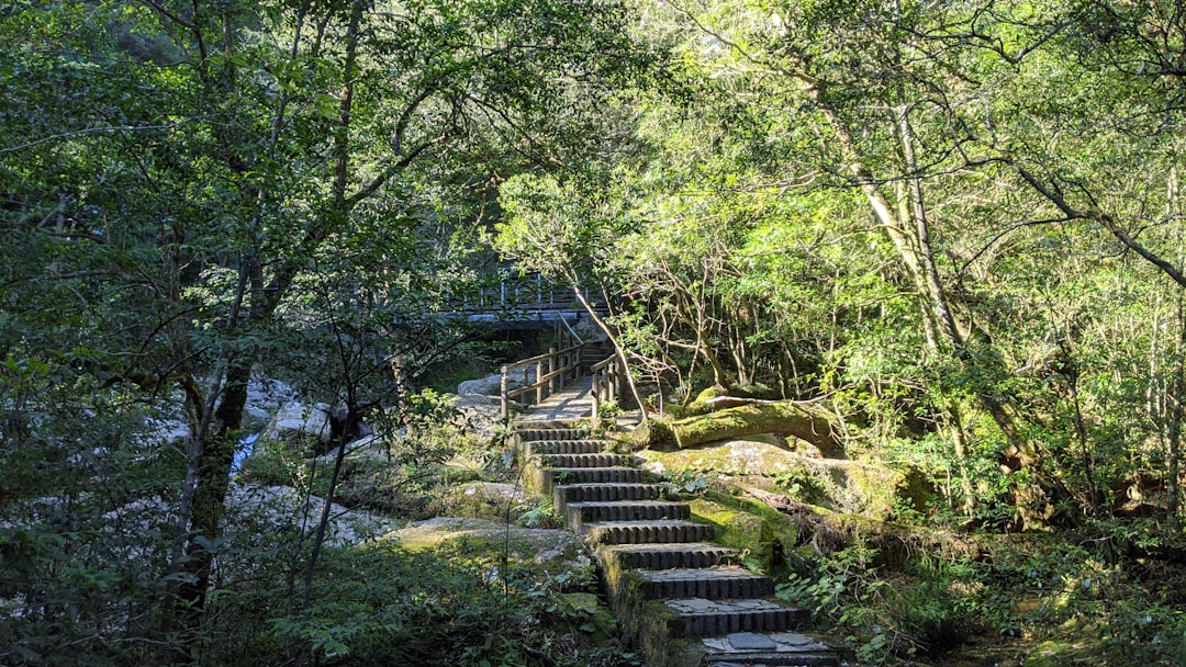 黒滝村の清流と黒滝