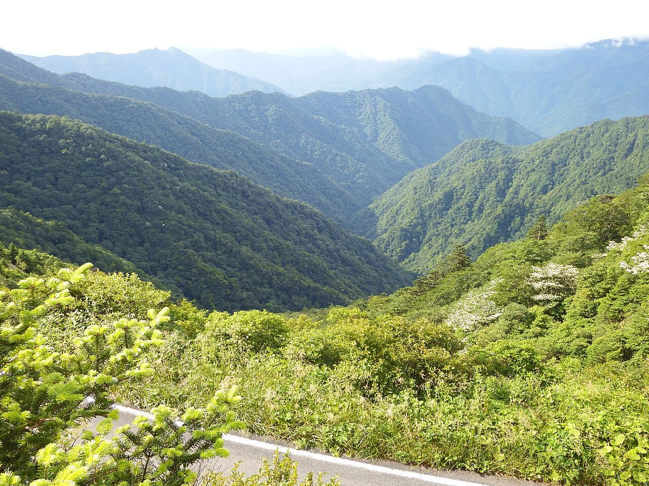 吉野川源流