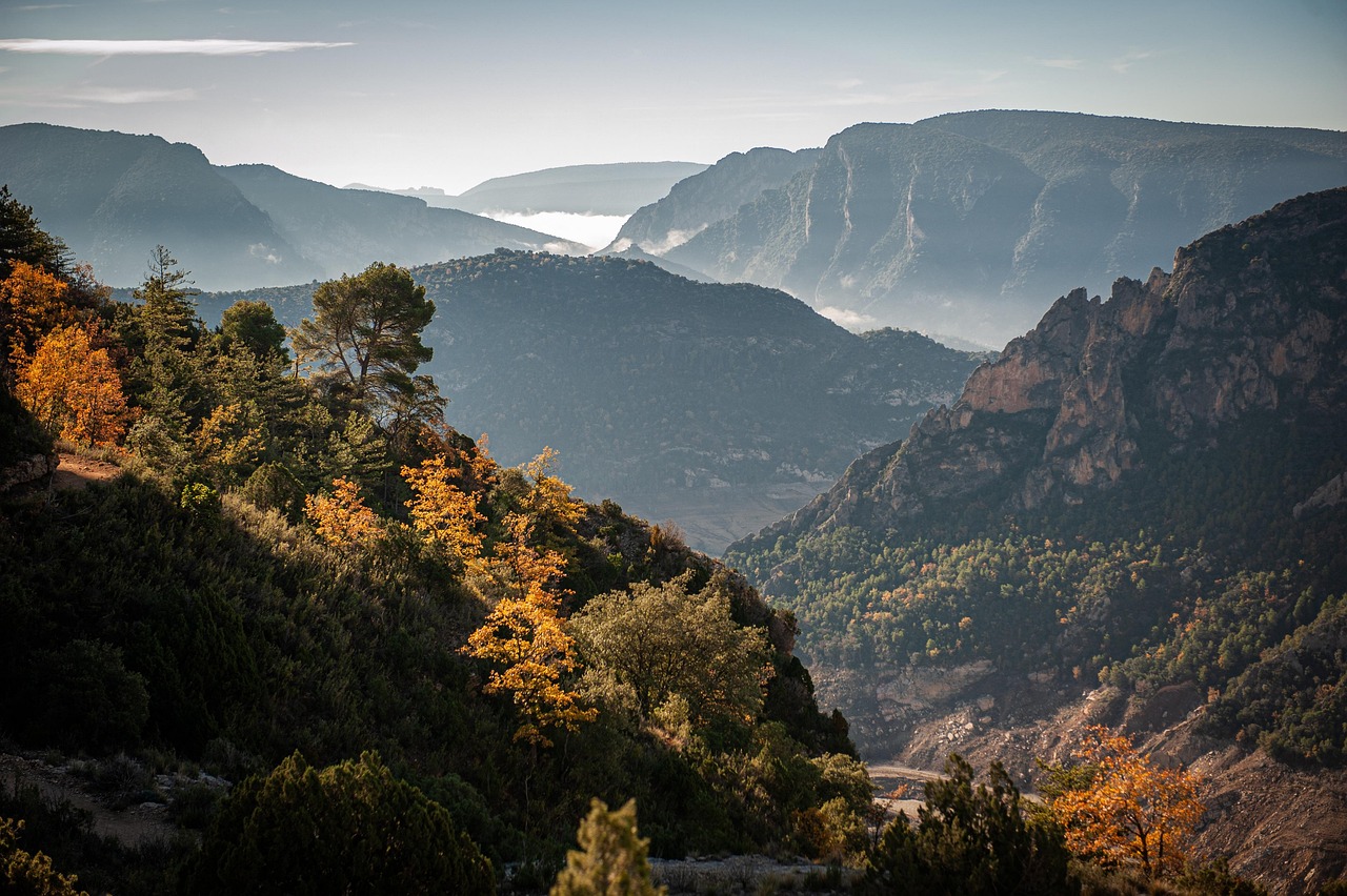 錦川峡谷