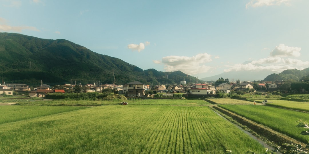 越後松代の棚田と旧街道の風景