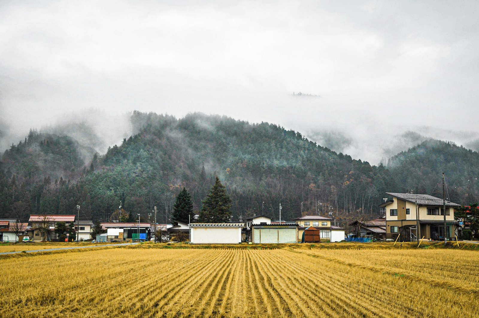 加茂の古い酒蔵群と職人街の風景