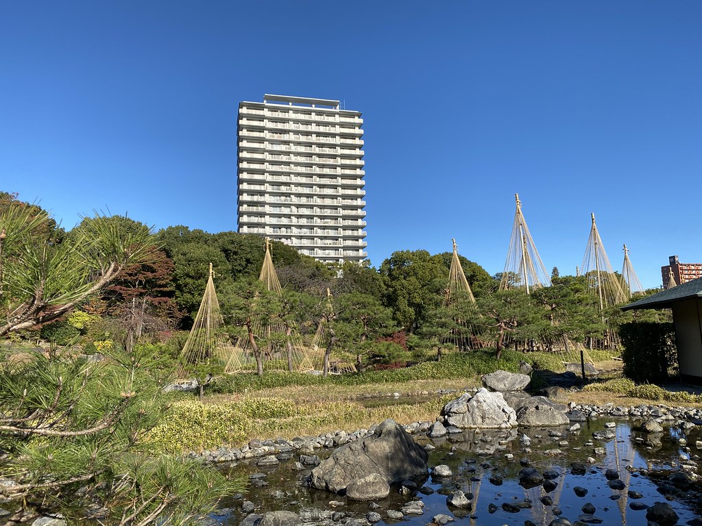 開成町水田の風景