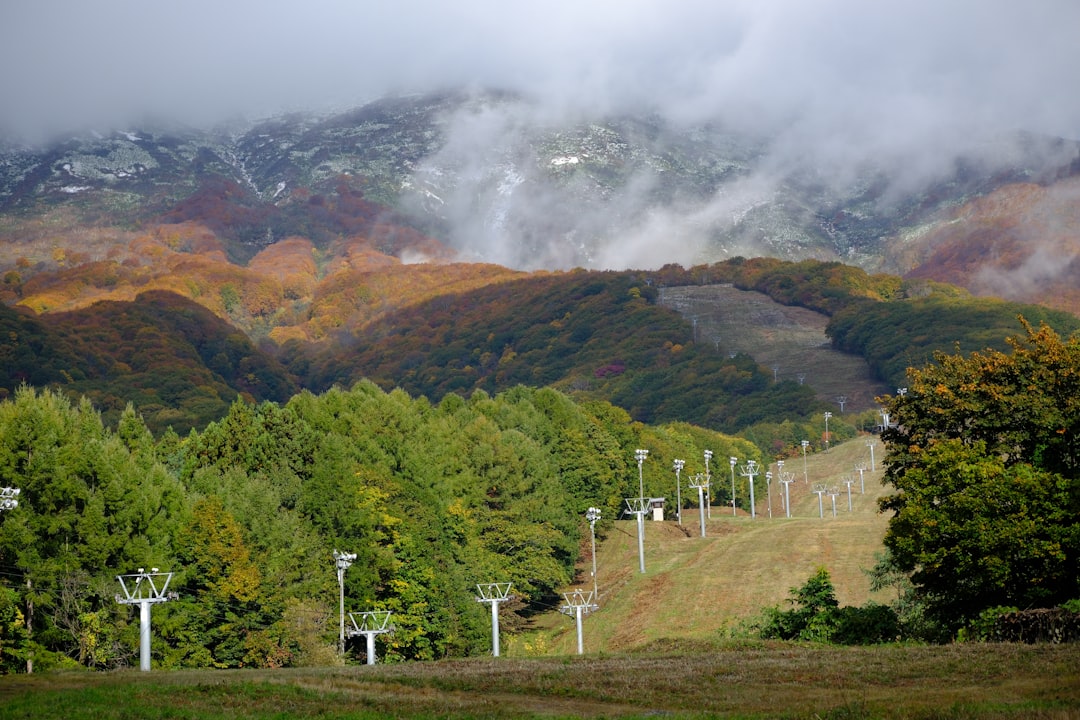 湯沢高原