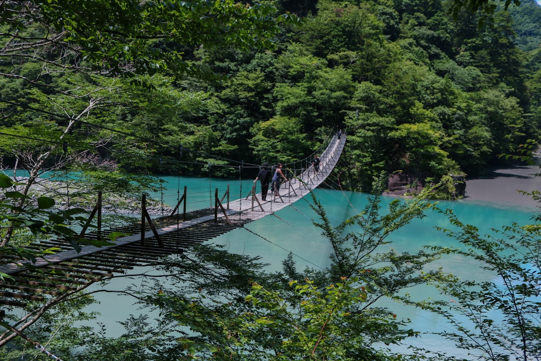 仁淀川