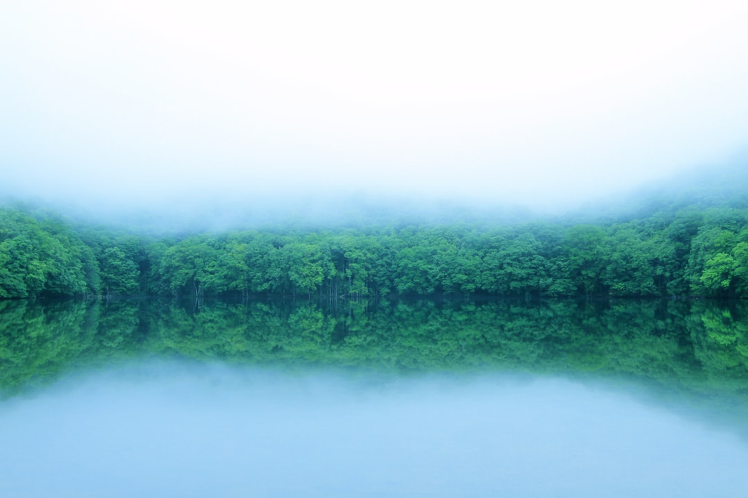 沼田