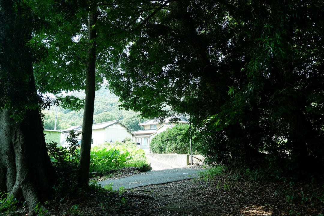 大歩危