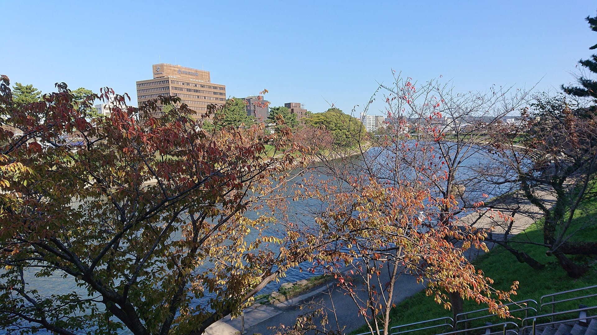 岡崎