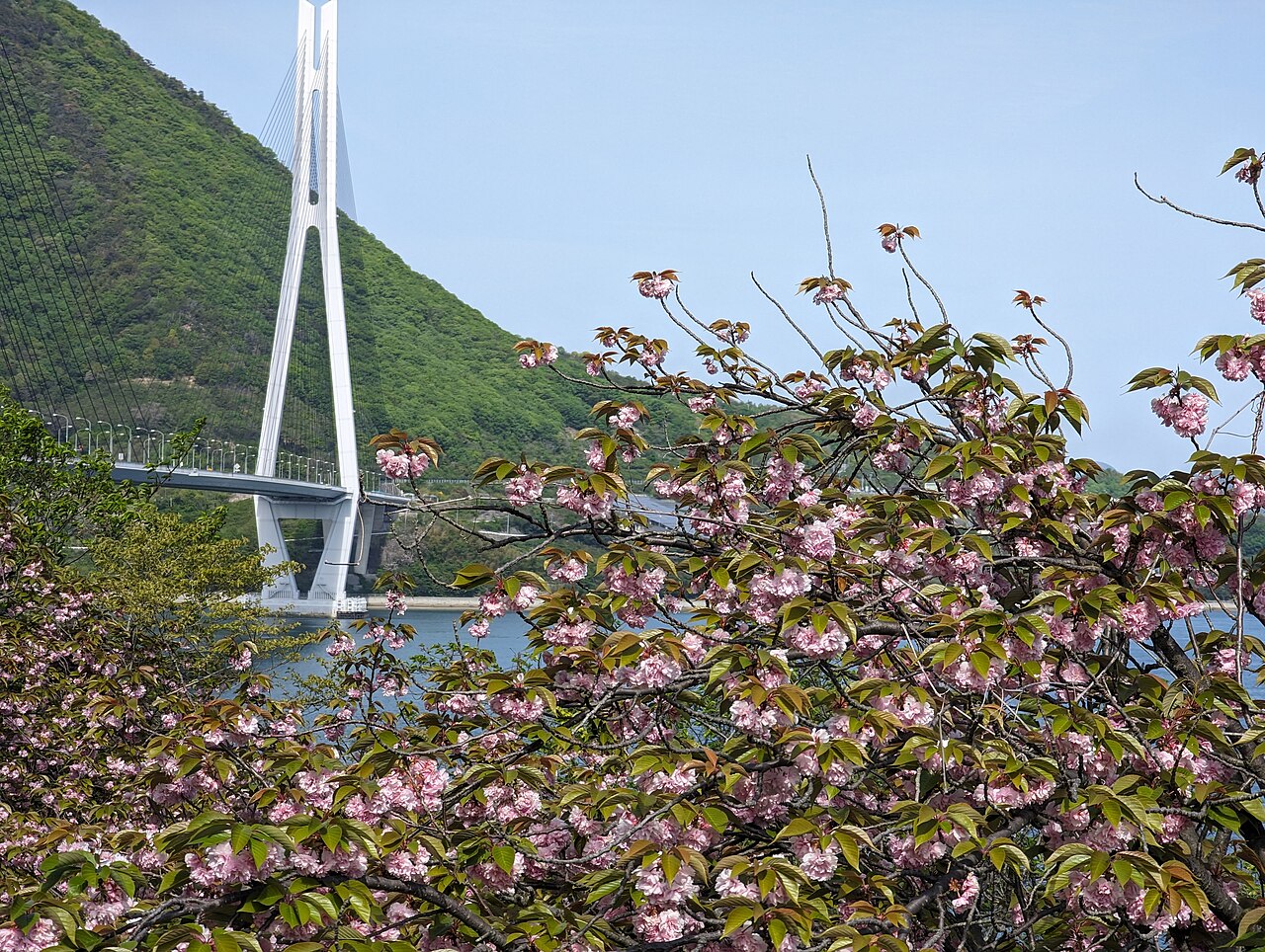 大三島
