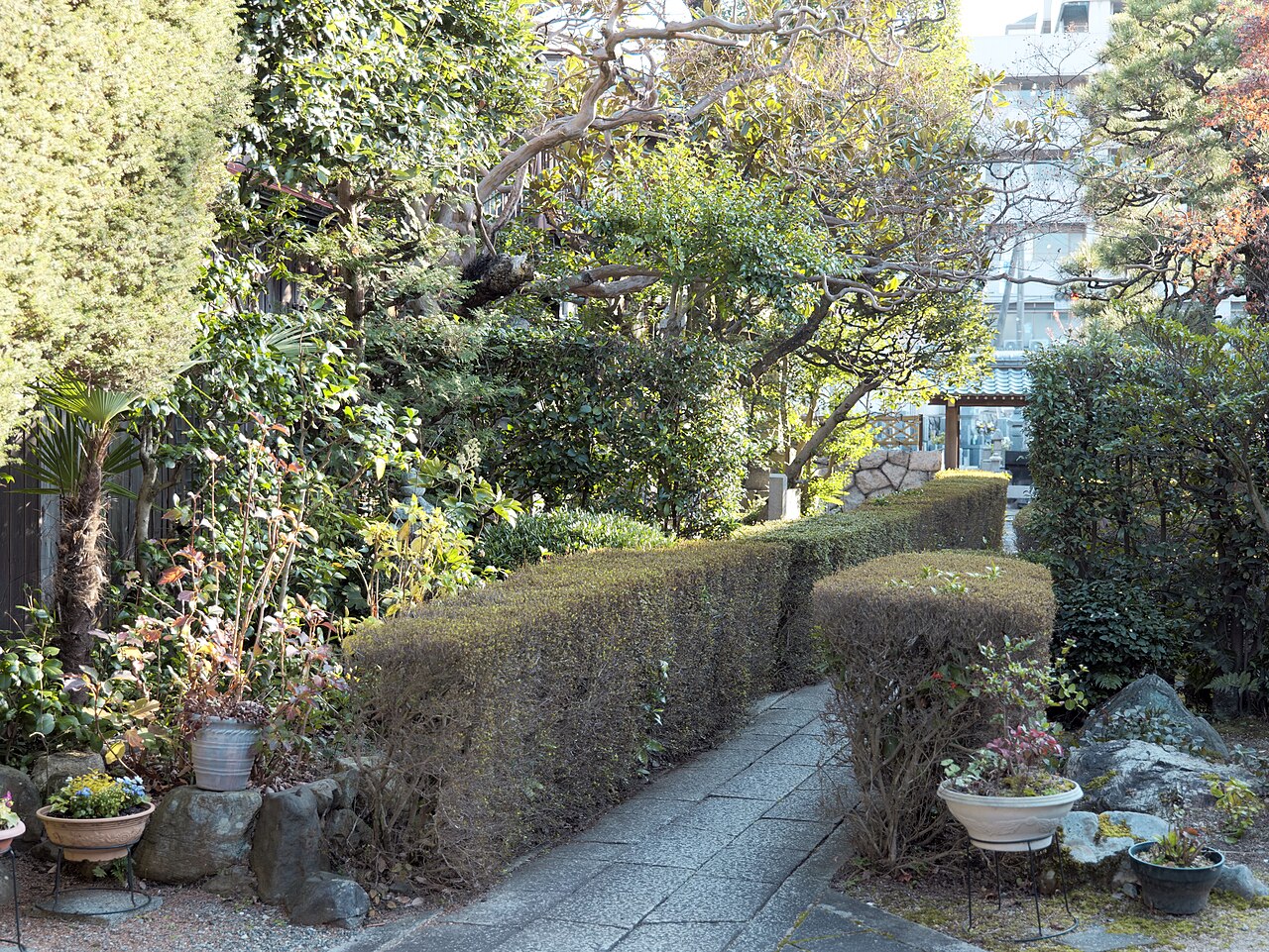 大津