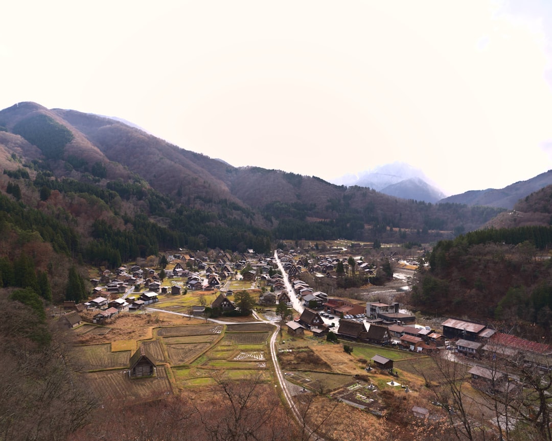 尾瀬の風景