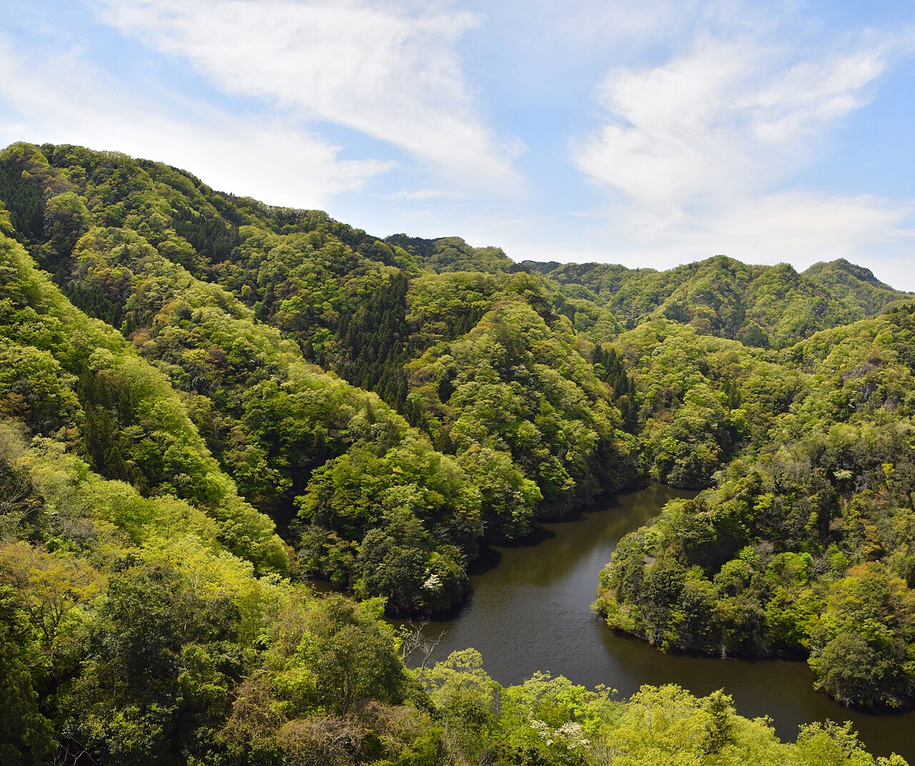 竜神大吊橋の風景