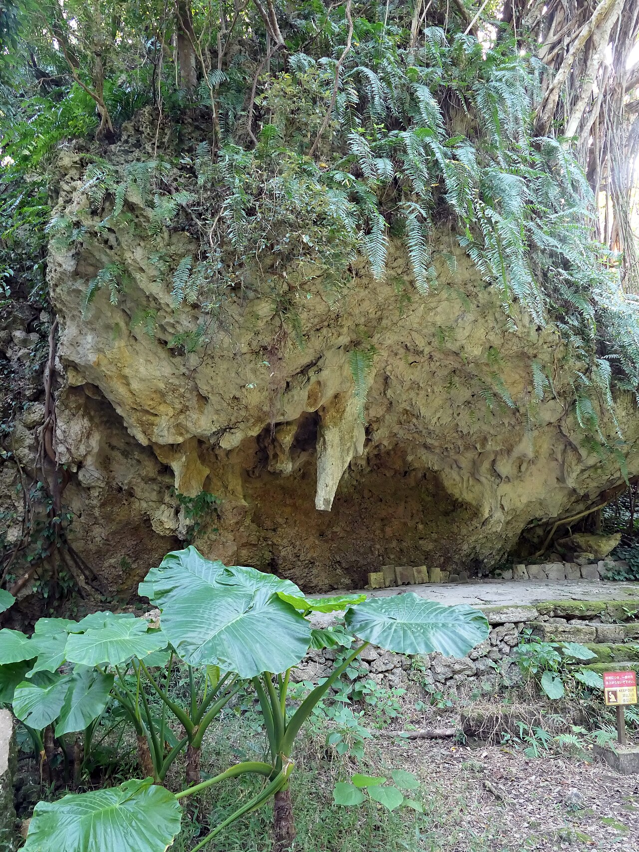 斎場御嶽