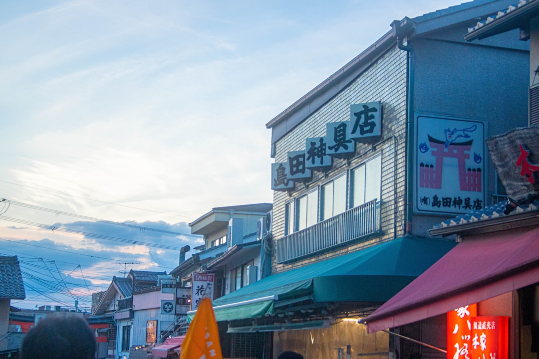 信楽
