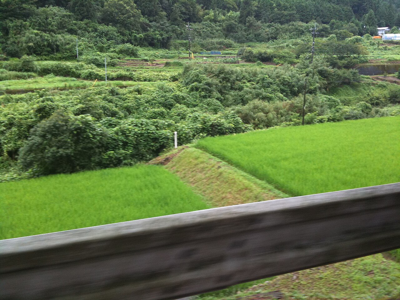 四万十